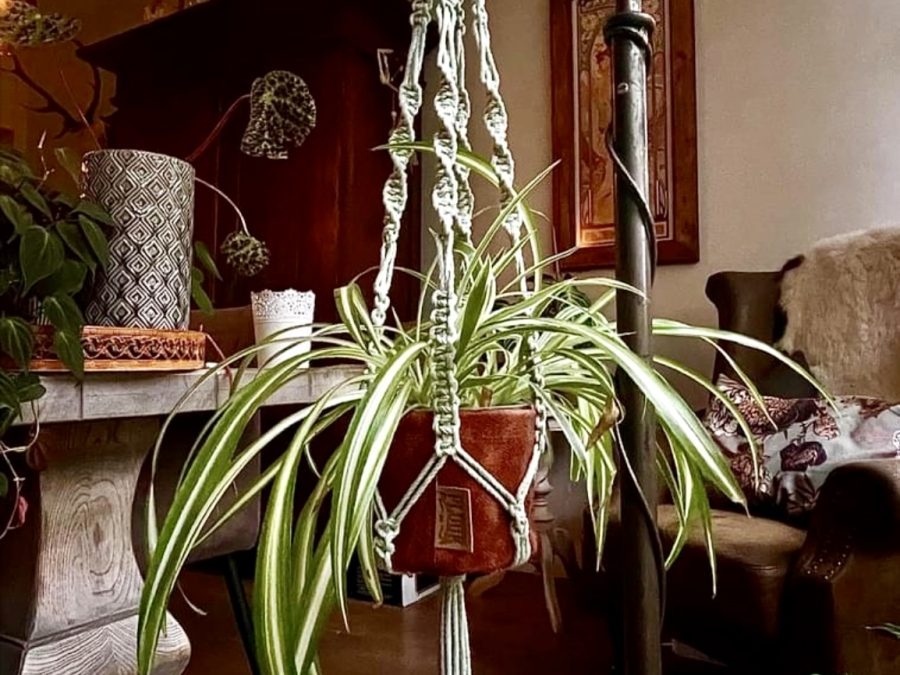 macrame planten hanger 88dfc409